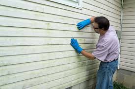 Best Insulated Siding Installation  in Carlinvle, IL